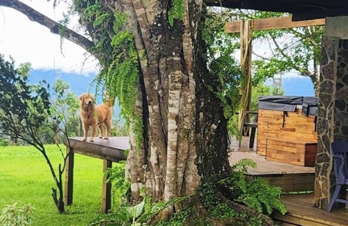 Cerro Azul Cabina | Ecolodge de lujo