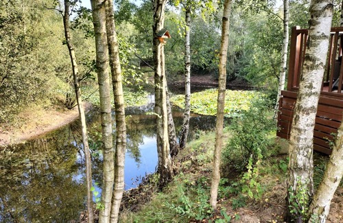 Norwich Cabina | Luxury Fishing Lodge - Fat Rascals Retreat