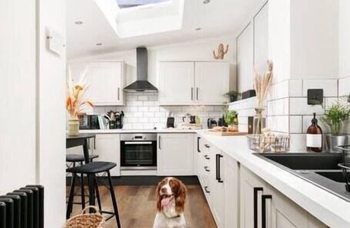 Barbican Casa | Luxury for 2024, Central Plymouth Home for 10