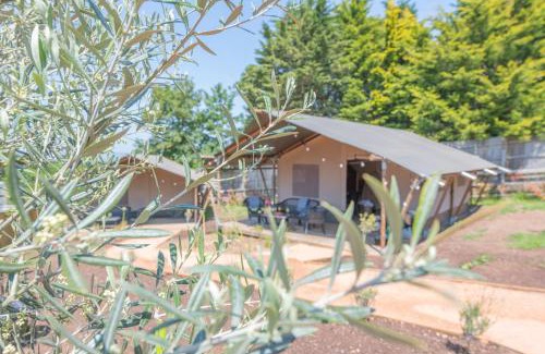 Liverton Otro | Luxury Glamping at Stags Head