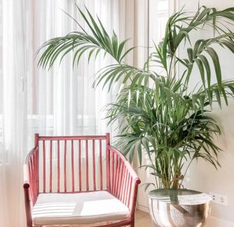Figueras (Castropol) Hotel | Luxury in the center of - Madrid