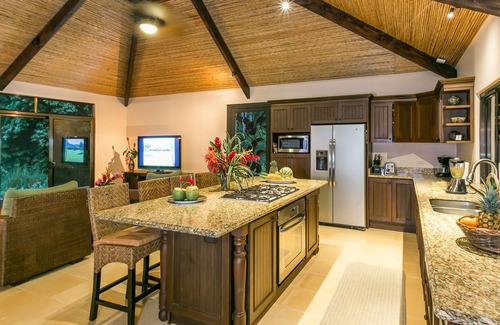 Dominicalito Villa | Villa privada en la jungla, con vista al mar, piscina infinita, vida silvestre y aire acondicionado