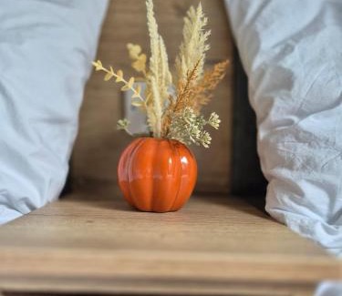 Mullacott Casa | Luxury Lodge Escape