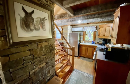 Dandridge Cabina | Log Cabin de lujo y 70 acres en el lago Douglas