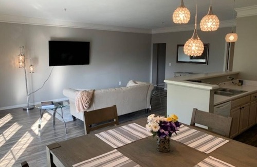Dublin Condominio | Luxury Modern 1 Bed/1 Bath Condo