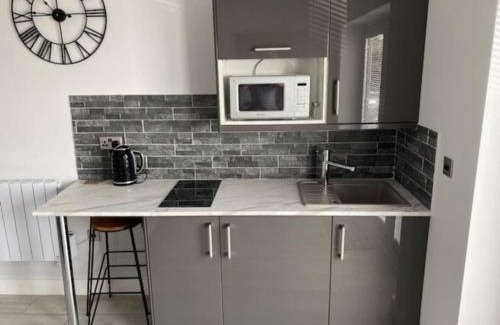 Mumbles Apartamento | Luxury Mumbles View Studio Apartment