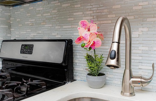 East New York Casa | Luxury Oasis in the Heart of Brooklyn