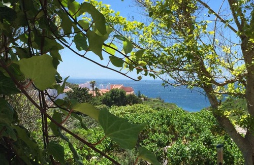 Saint Francis Bay Villa | Luxury Ocean View Villa with Pool and Solar Power
