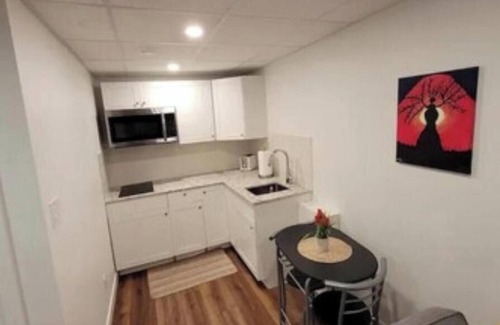 Fort Gary Apartamento | Luxury One Bedroom In A Modern Basement.