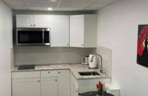 Fort Gary Apartamento | Luxury One Bedroom In A Modern Basement.