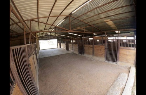 Bowie Casa | Luxury retreat disguised as a barn!