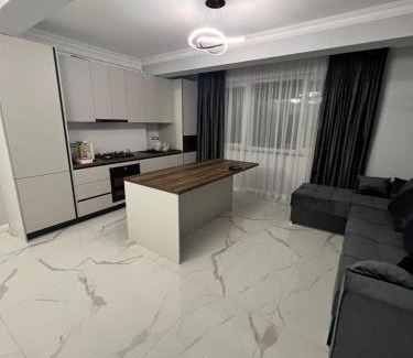 Radauti Apartamento | Luxury
