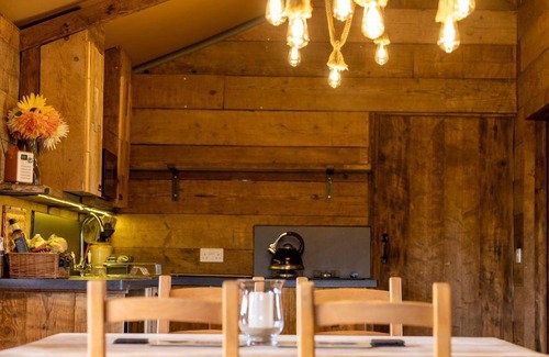 Broadwoodkelly Casa | Luxury Safari Lodge surrounded by deer!! 'Fallow'