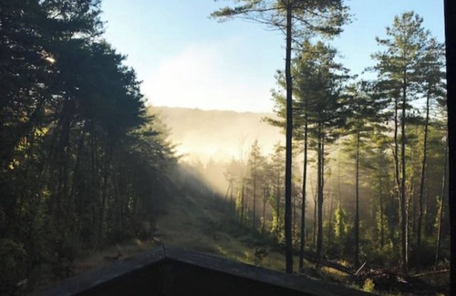 Catskill Cabina | Catskill cabaña de lujo en 12 Acres aislado con Creek