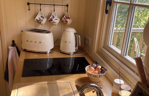 Broadwas Cabina | Luxury Shepherd Hut - The Nimrod