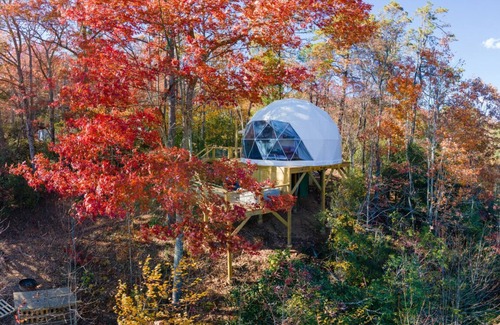 Balsam Grove Casa | Luxury Spa Dome: Sauna & Hot Tub