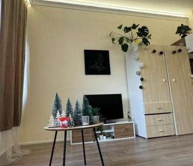 Orszagut Apartamento | Luxury Studio Apartment