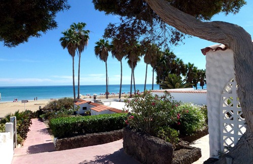 Bahia Calma Casa | Estudio de lujo para amantes de la playa - apartamento junto al mar bajo palmeras