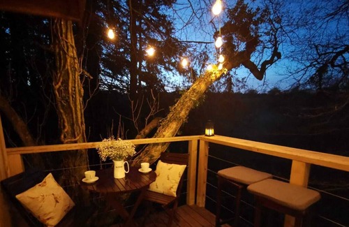 Pencader Casa | Luxury Treehouse Escape Carmarthenshire Countryside near Cardigan Coast