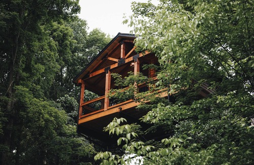 Fredericksburg Cabina | Luxury Treehouse Cabin over Salt Creek - Cabin 1