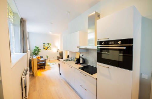 Centrum Villa | Luxury Urban 3BDR Apartment WS
