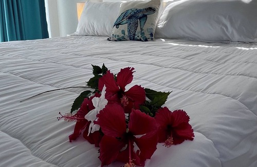 Los Charamicos Casa | Luxury Villa in Sosua Ocean Village with pool