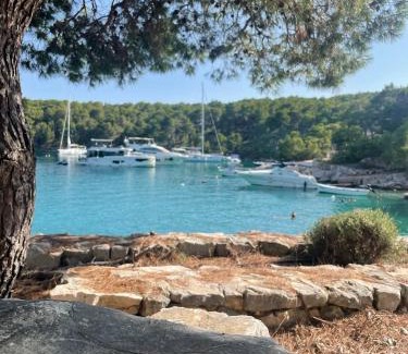Cove Osibova (Milna) Villa | Luxury Villa Kate - in Lucice Bay with turquoise sea, Amazing Seaviews, and Heated Pool