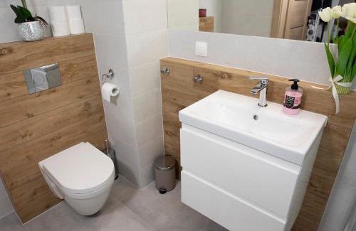 Pogorze Apartamento | Luxus Apartament Róża