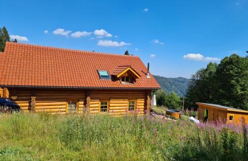 Feldberg Casa | Luxus-Ferienhaus Blockhaus Chalet Nr 1 Toplage am Feldberg mit Sauna, Outdoor-Hottub, Kamin auf 1300m üM