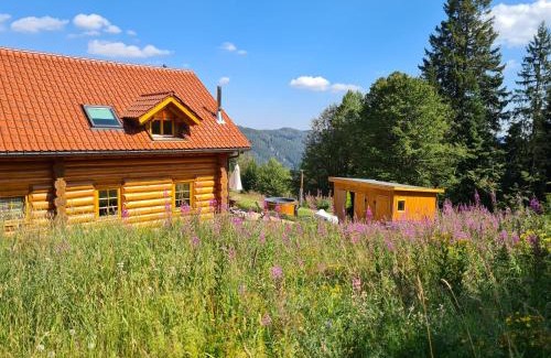 Feldberg Casa | Luxus-Ferienhaus Blockhaus Chalet Nr 1 Toplage am Feldberg mit Sauna, Outdoor-Hottub, Kamin auf 1300m üM