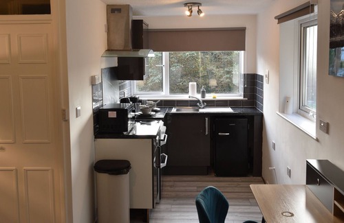 Luton Apartamento | Estudio-Lujoso-Baño con ducha