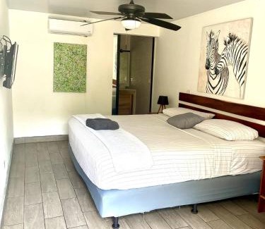Tamarindo Hotel | Luz del Trópico habitación in Casa Blanca