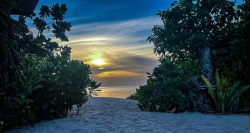 Pointe Au Sel Villa | Lyla Beach Villa