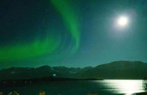 Lyngen Casa | Lyngen Brygge
