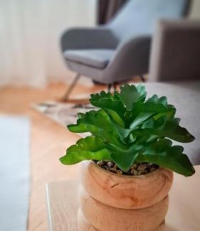 Dunaujvaros Apartamento | Május 1 apartman
