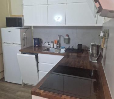 Tartu Apartamento | Mõisavahe apartment