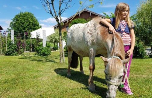 Petting Casa | Mühlberger Hof