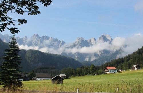 Gosau Apartamento | Mühlradl Apartments Gosau