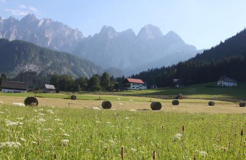 Gosau Apartamento | Mühlradl Apartments Gosau