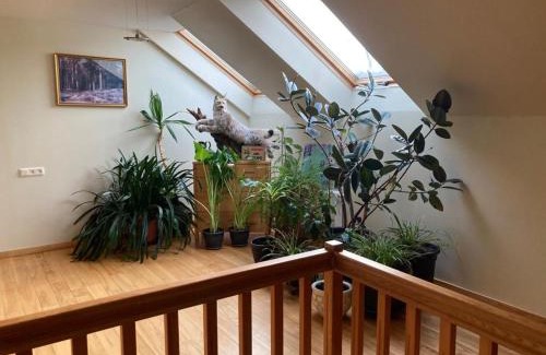 Ranka Casa | Mīlmaņi