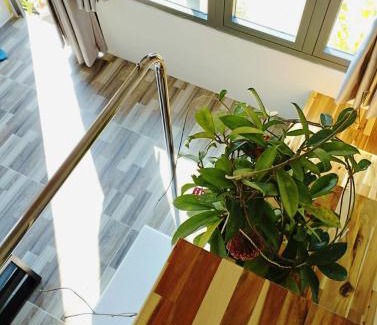 Ke Ga Casa | Mơ Homestay Kê Gà (Mer Bleue Homestay)
