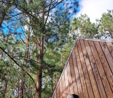 Da Lat Complejo | Mơ Stay - Forest Resort