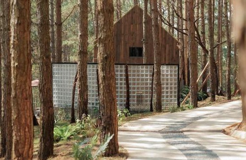 Da Lat Complejo | Mơ Stay - Forest Resort