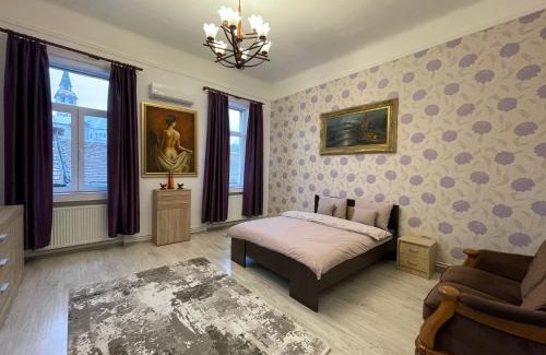 Tirgu Mures Apartamento | M & I Apartment 4