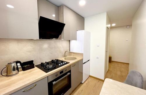 Panevezys Apartamento | M&M Apartment IV SELF CHECK-IN