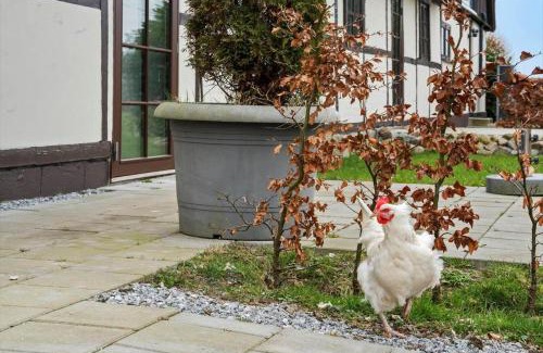 Vaeggerlose Casa | M367-Vaeggerlose-Marrebaek-Skovvej-4