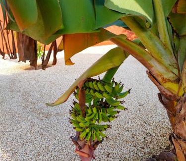 Saly Petite Cote Casa | Ma Demeure Africaine
