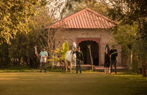 Sawai Madhopur Complejo | Maa Ashapura Resort