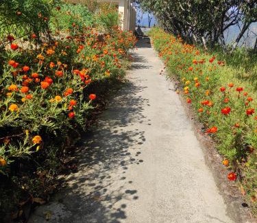 Kaul Casa | Maa Parwati Homestay Dhanachuli