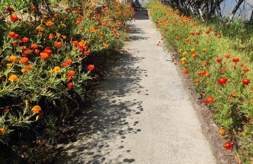 Kaul Casa | Maa Parwati Homestay Dhanachuli